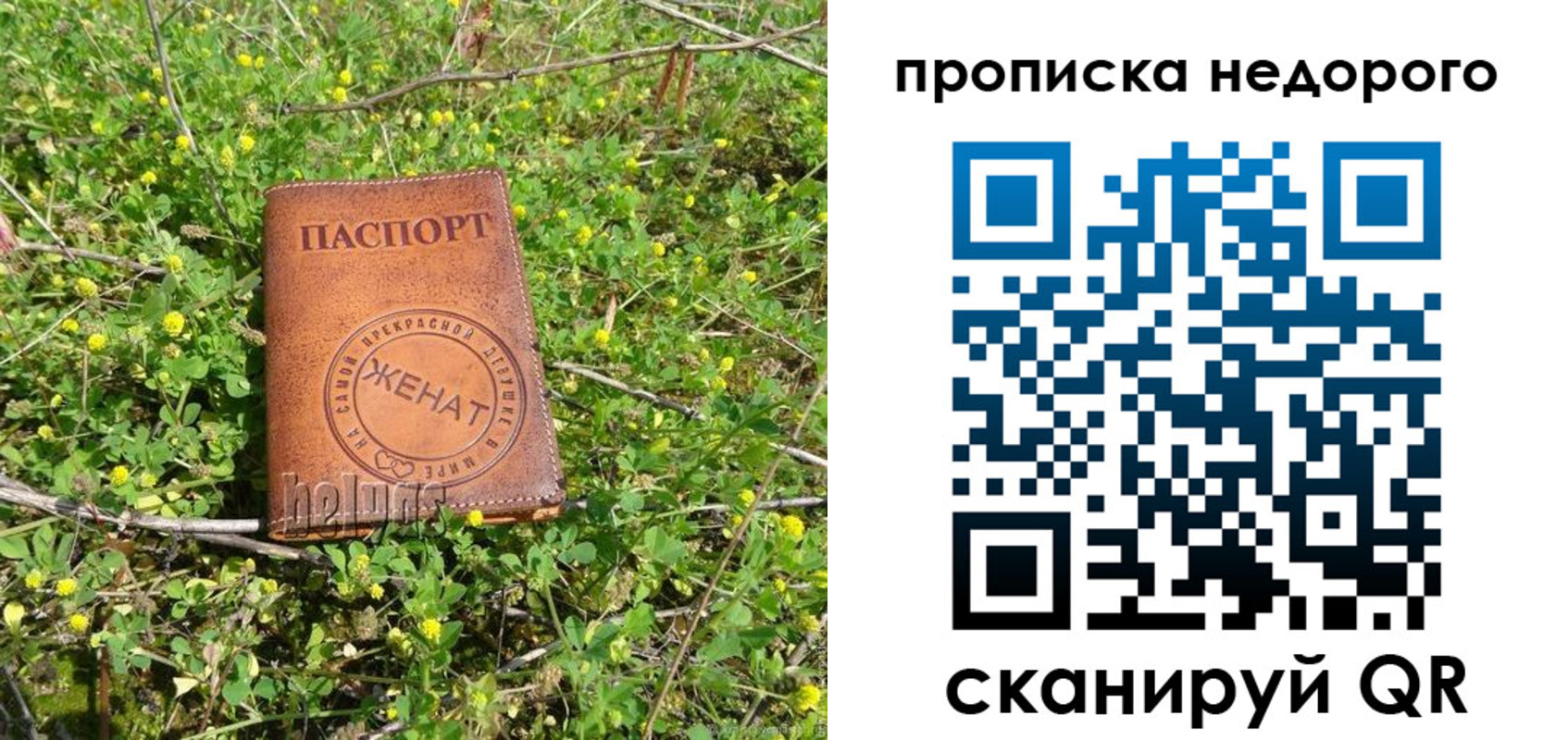регистрация для дет. сада в Елизово